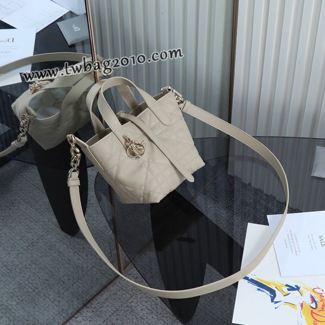 Dior专柜2025新款原厂皮手提包迪奥高仿原单杏色迷你toujours竖版手袋 djfk1842